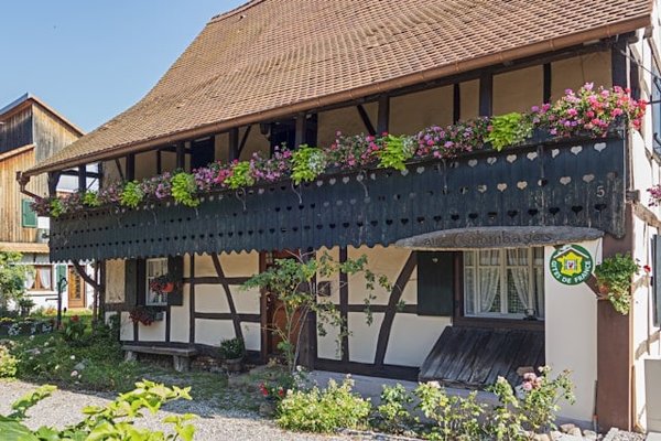 Quelles sont les idées originales pour un anniversaire en Alsace?